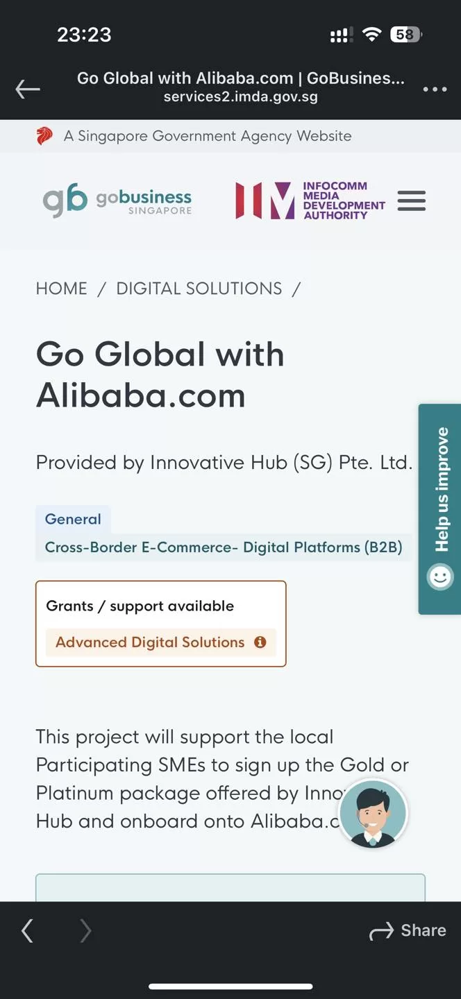 Leveraging Singapore Government Grants and Support for Alibaba Trade Success