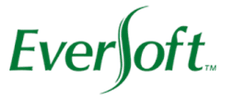 Eversoft Eversoft logo